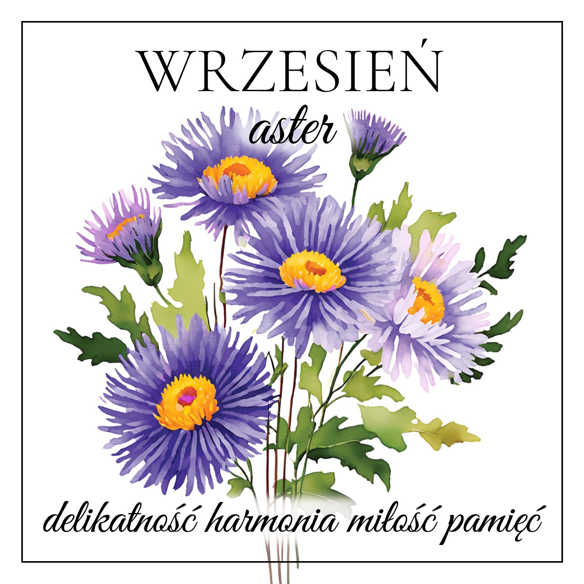 wrzesień ASTER kolczyki wiszące