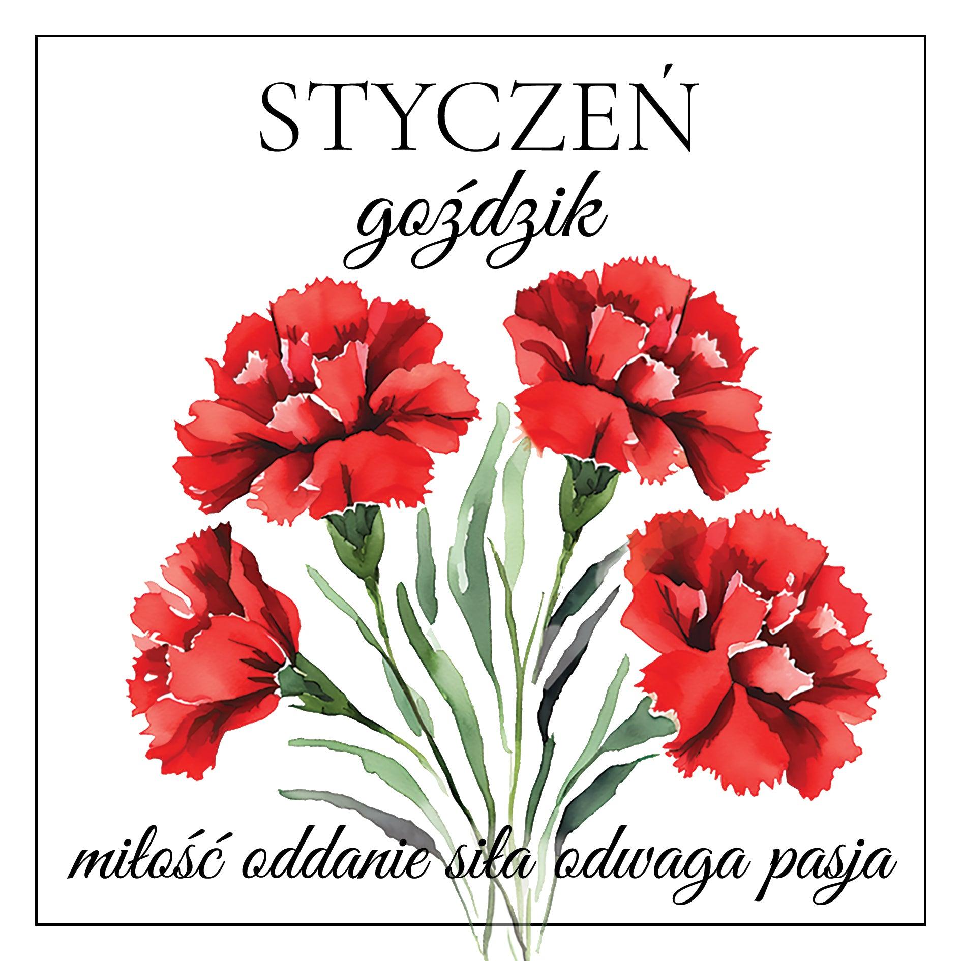 bransoletka STYCZEŃ hematyt, goździk