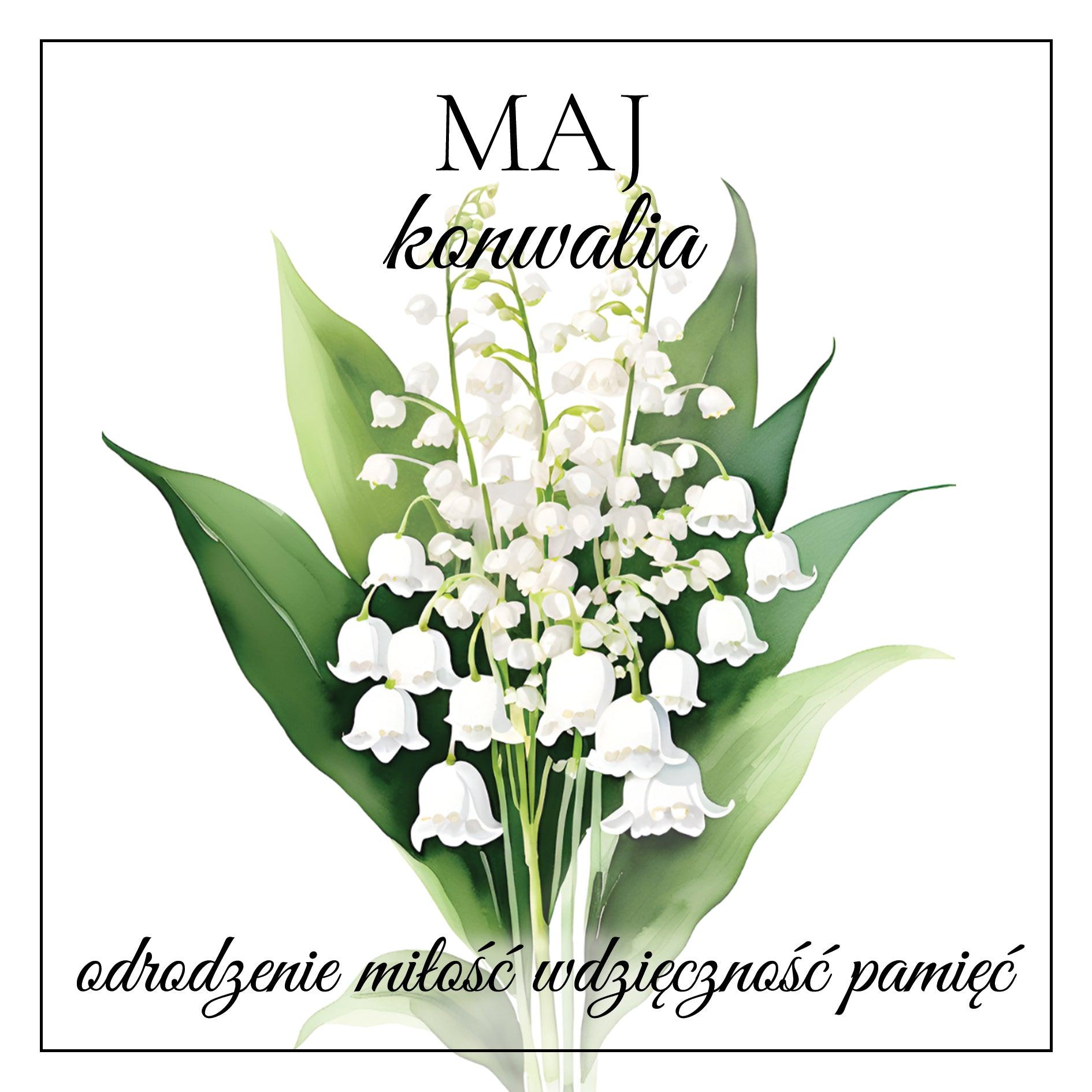 maj KONWALIA kolczyki wiszące