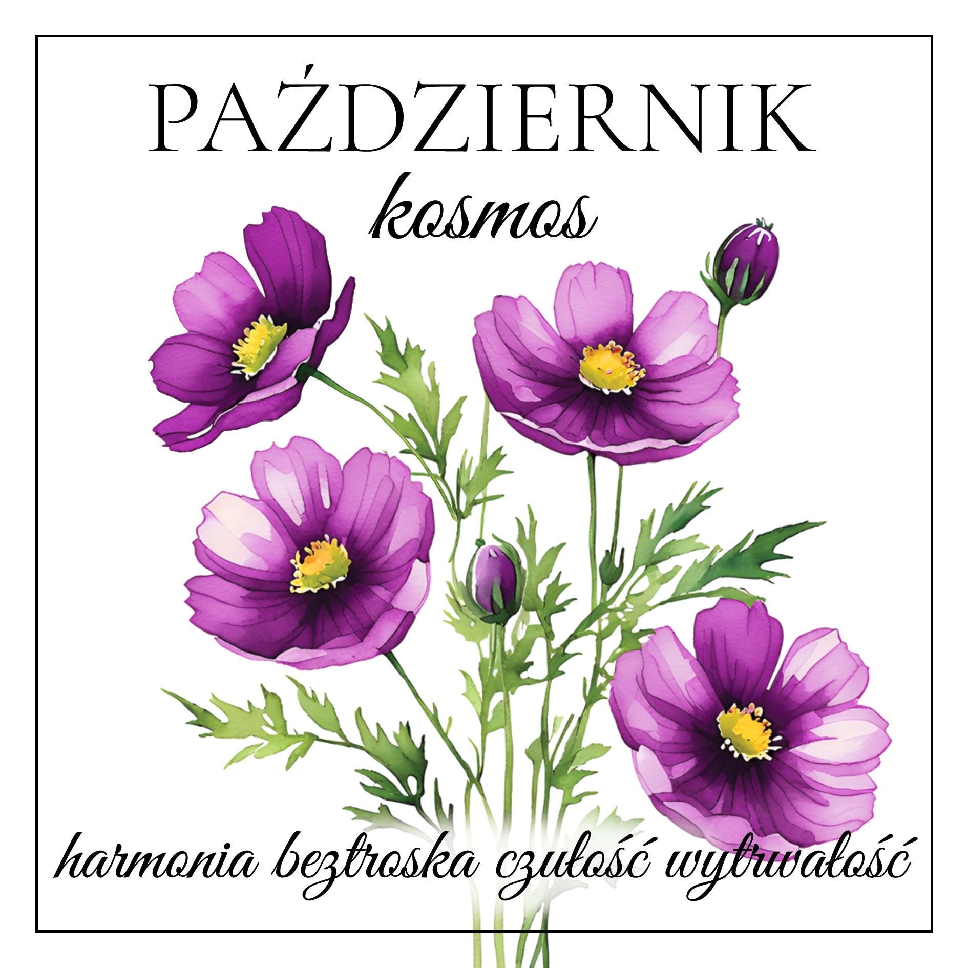 naszyjnik PAŹDZIERNIK turmalin, kosmos