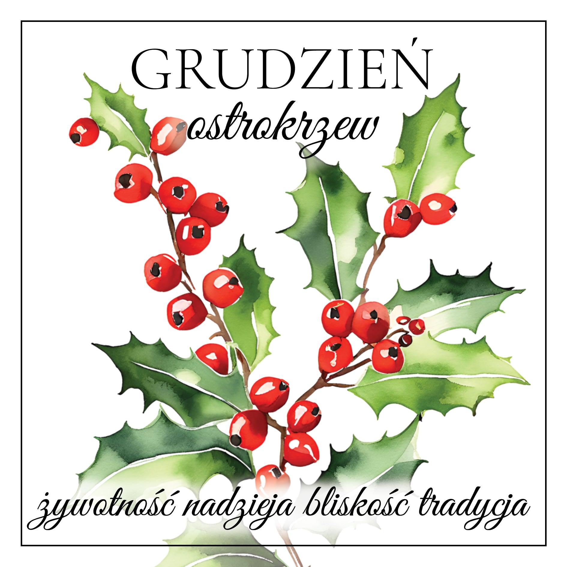 bransoletka GRUDZIEŃ hematyt, ostrokrzew