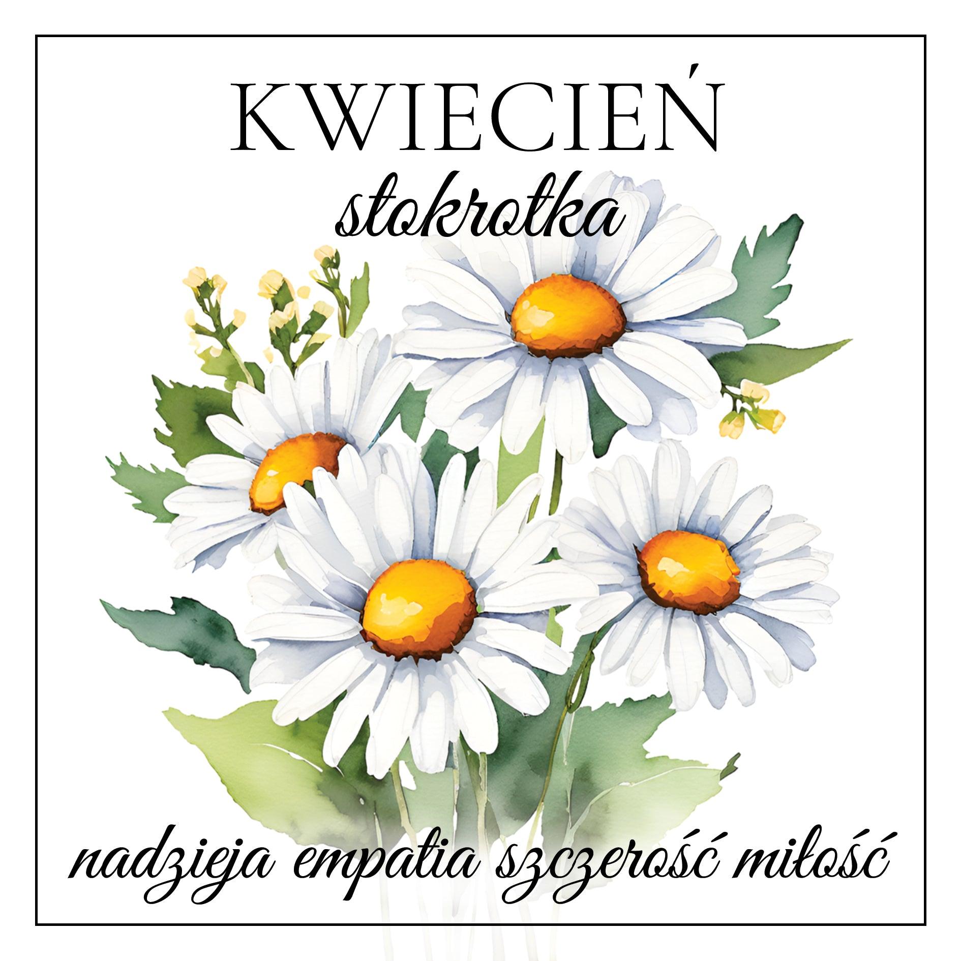 kwiecień STOKROTKA kolczyki wiszące